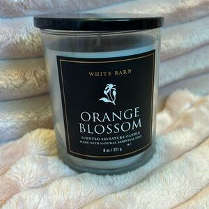 Bath and Body Works Orange Blossom Single Wick Candle